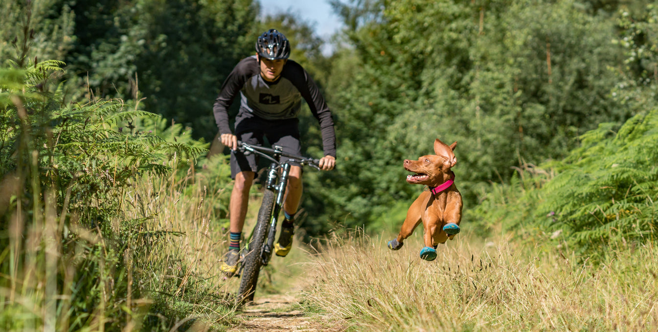 A man mountain bikes while his dog runs beside him.
