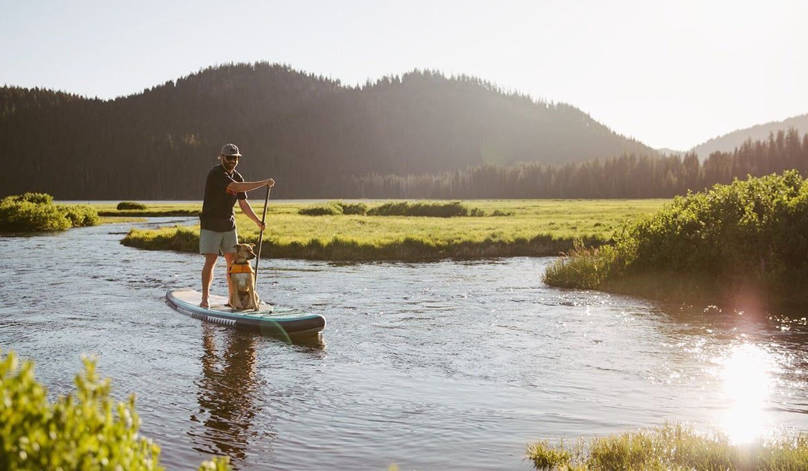 Person paddleboarding with dog at sunset