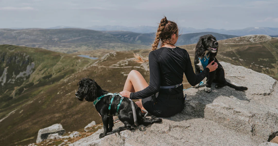 Siobhan sits with her puppy and other spaniel on a rock overlooking the highlands.