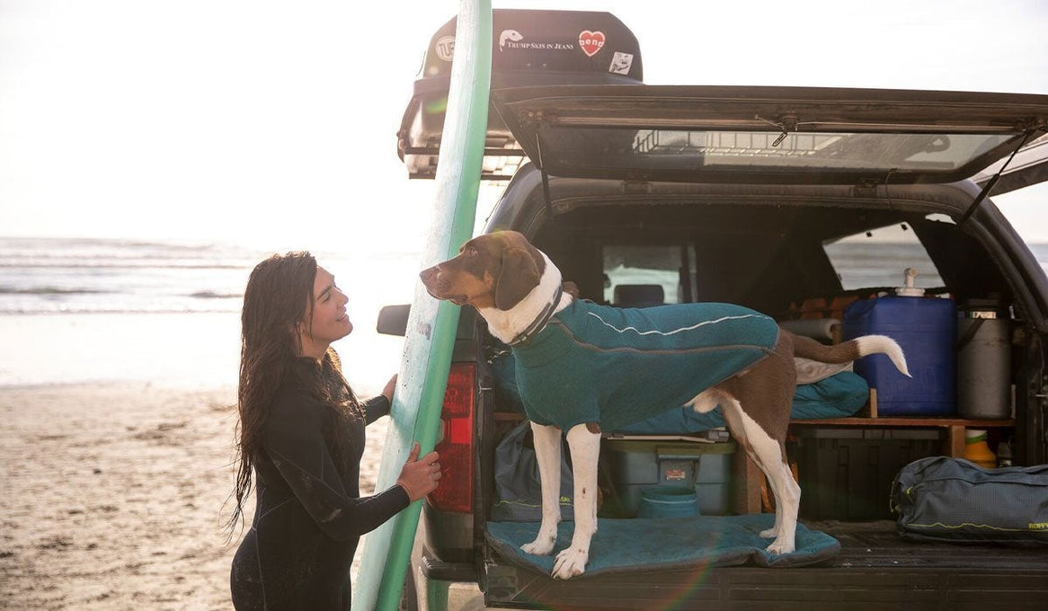 Dog in Fernie jacket sits on tailgate of truck while woman in wetsuite with surfboard returns.