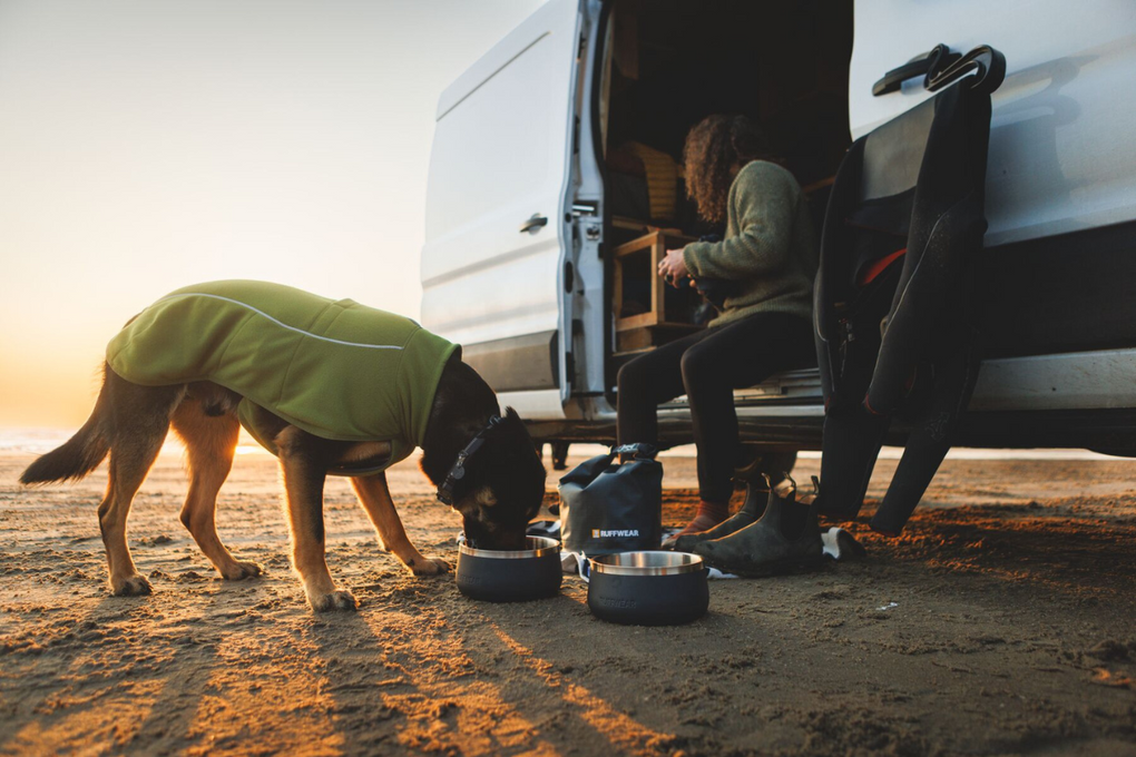 Dog wearing the Climate Changer Fleece Vest while eating.