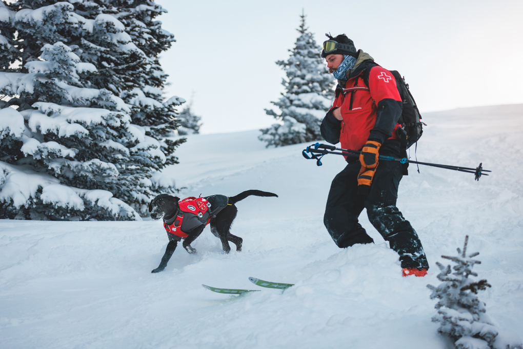 An avalanche rescue dog and his handler