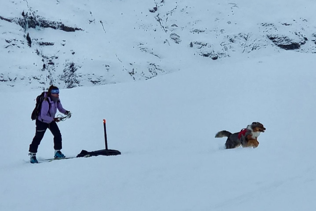 Sarah and her Australian shepherd, Bolt.