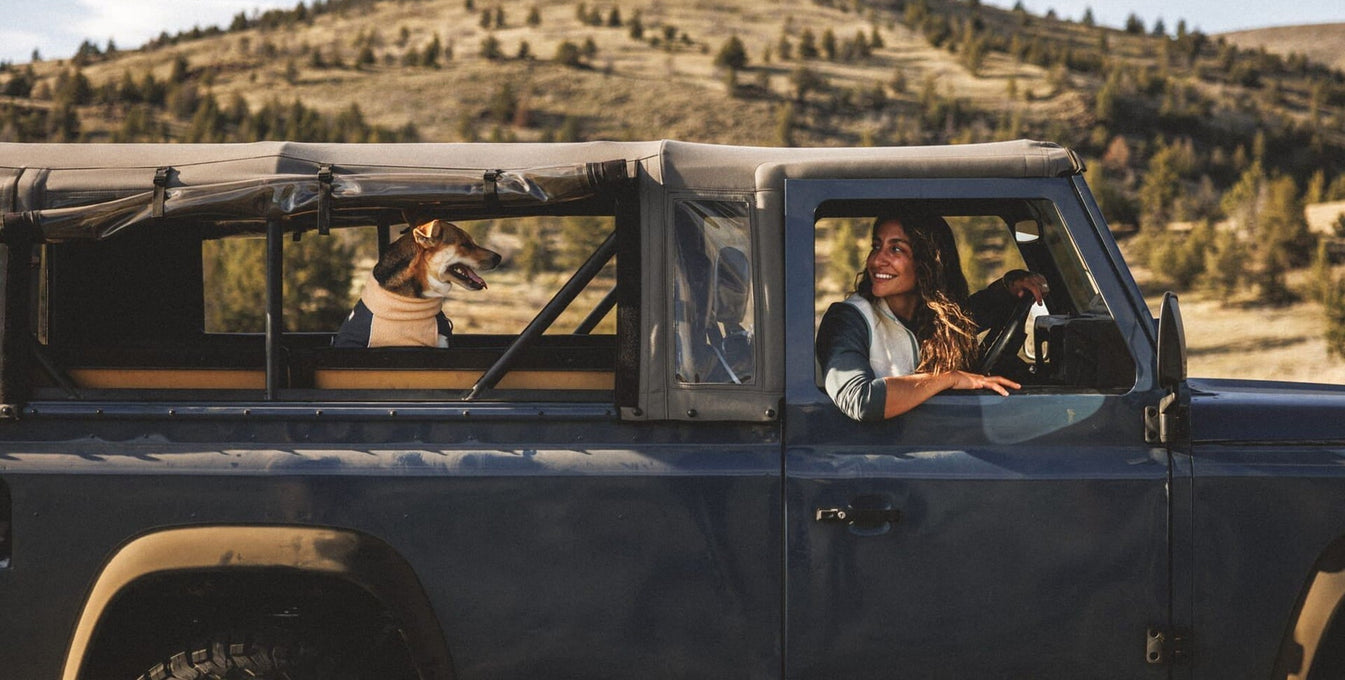 A human smiles at a dog in the back seat