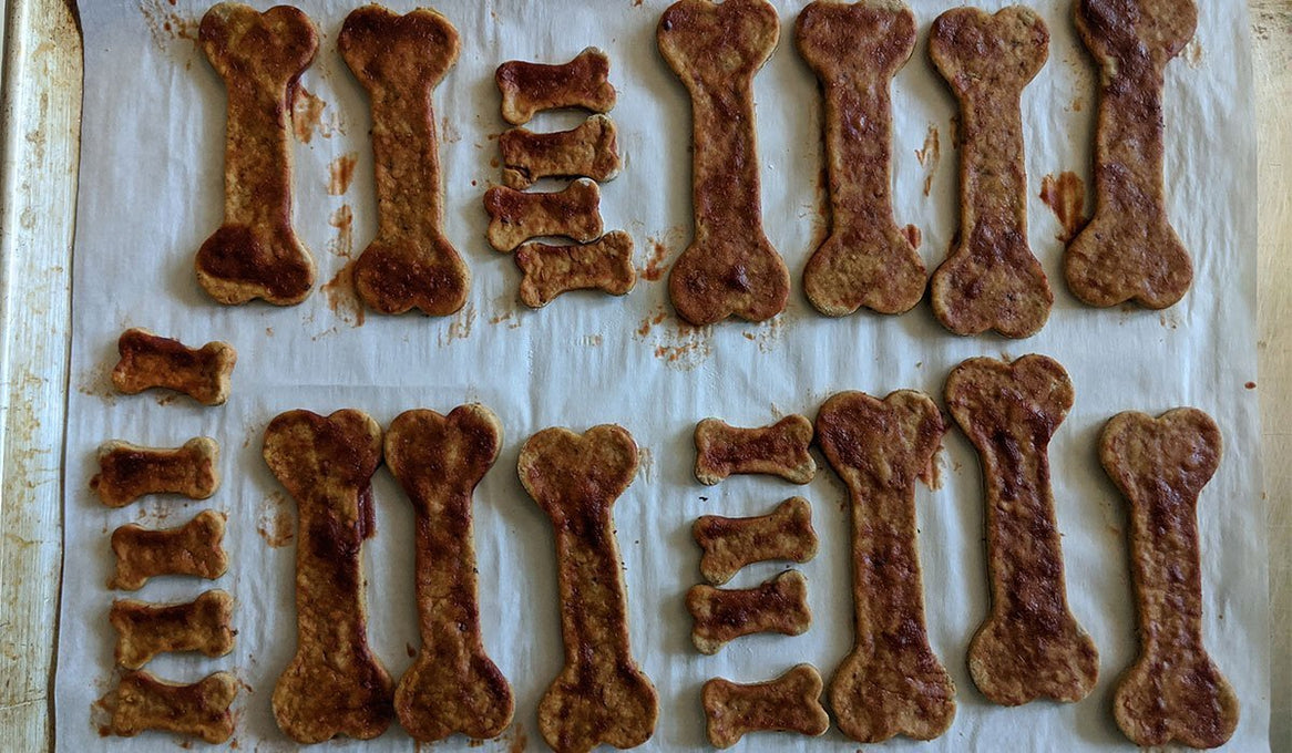 Tray full of homemade dog biscuits.