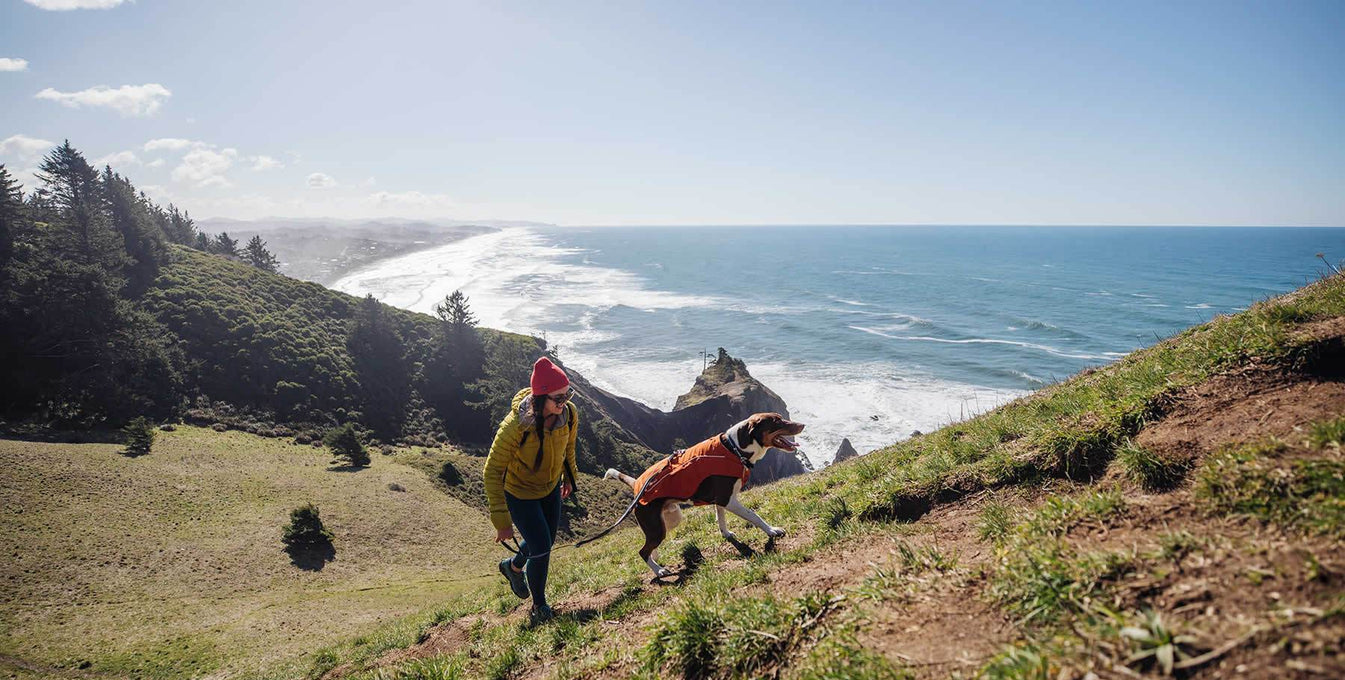 Woman and dog in overcoat fuse jacket and harness combo hike up hill on Oregon coast hike.