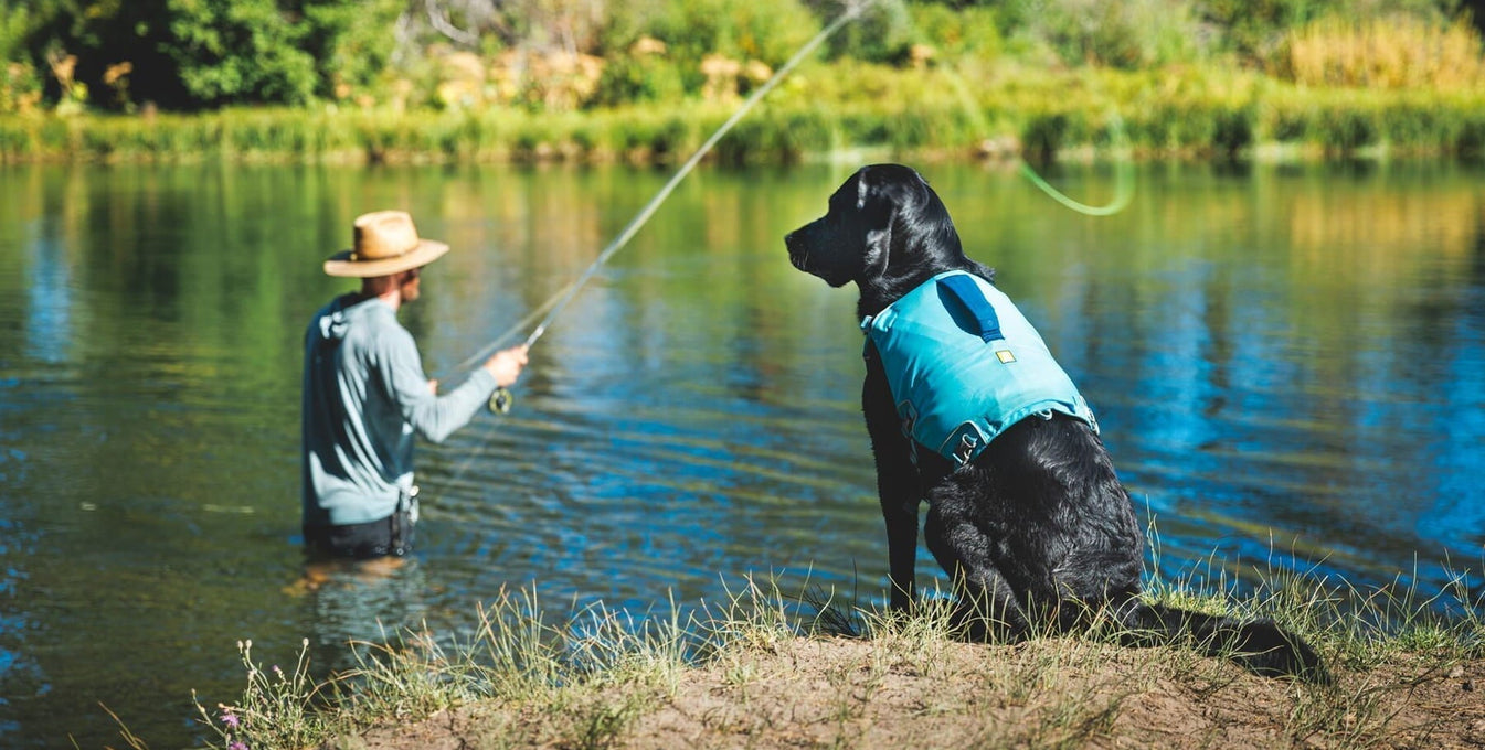 A human and senior dog fish together.