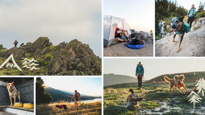 Ruffwear x Hipcamp hiking with dog campsites.