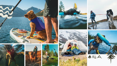 Discover campsites near water from Hipcamp and Ruffwear.