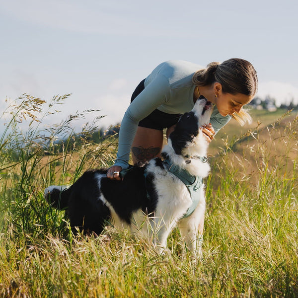A human kisses a dog's nose in tall grass