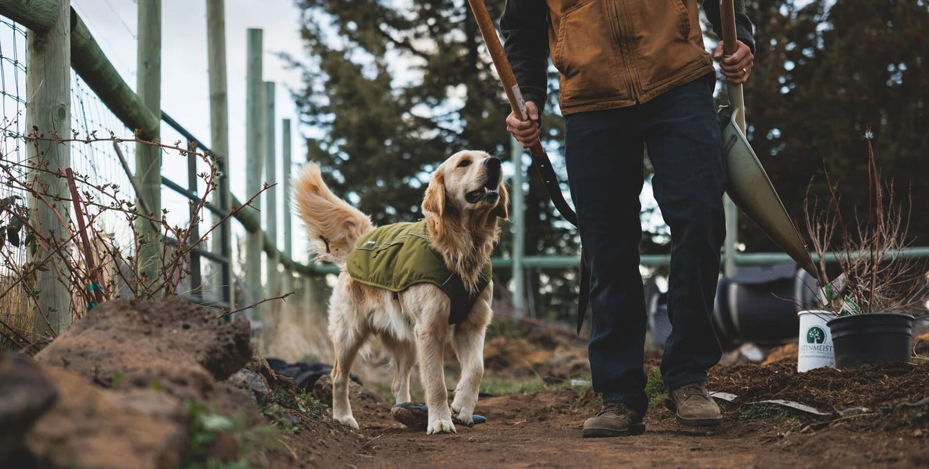 A human and dog frolick on the farm in new FW26 Apparel