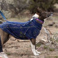 Dog wearing the Climate Changer™ Fleece.