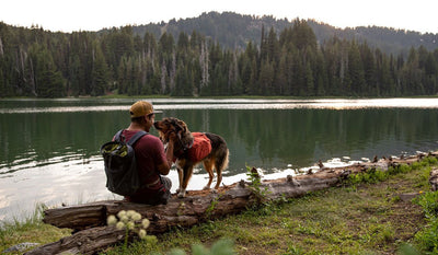 Hector sits on log next to alpine lake getting kisses from his dog in Front Range day pack on a hike.