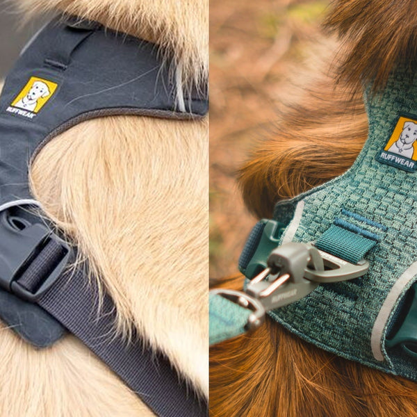 Up close shots of the original Front Range Harness and the Front Range Flex Harness