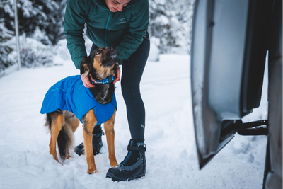 Woman petting her dog in the snow.