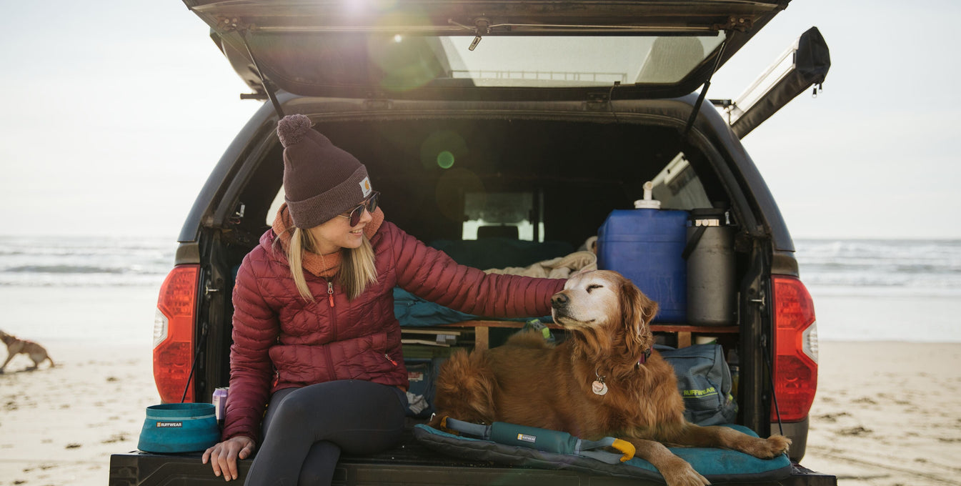 How To Road Trip With Your Dog: 8 Practical Tips