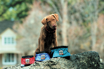 Dog posing with previous versions of The Quencher™ Bowl.