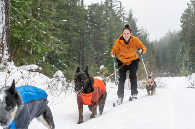 Woman cross country skis with dogs