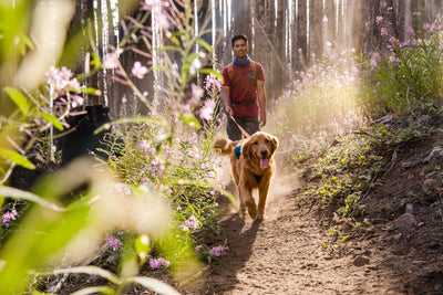 A man walks on a hiking trail with his golden retriever dog. 