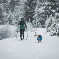 Woman cross-country skiing with her dog.