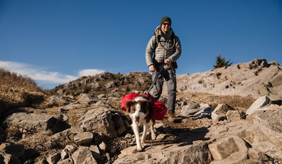 Dog in palisades pack pulls ahead of human on rocky backpacking trip.