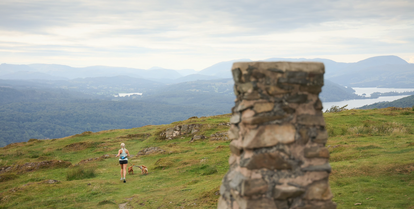 woman and two dogs running in the lake district