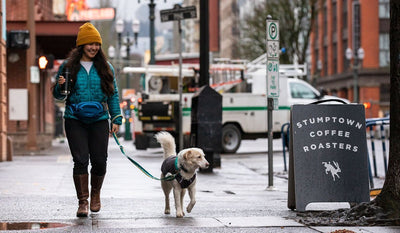 Dog in stumptown jacket walks with human carrying stumptown coffee cup by Stumptown coffee roaster sign.