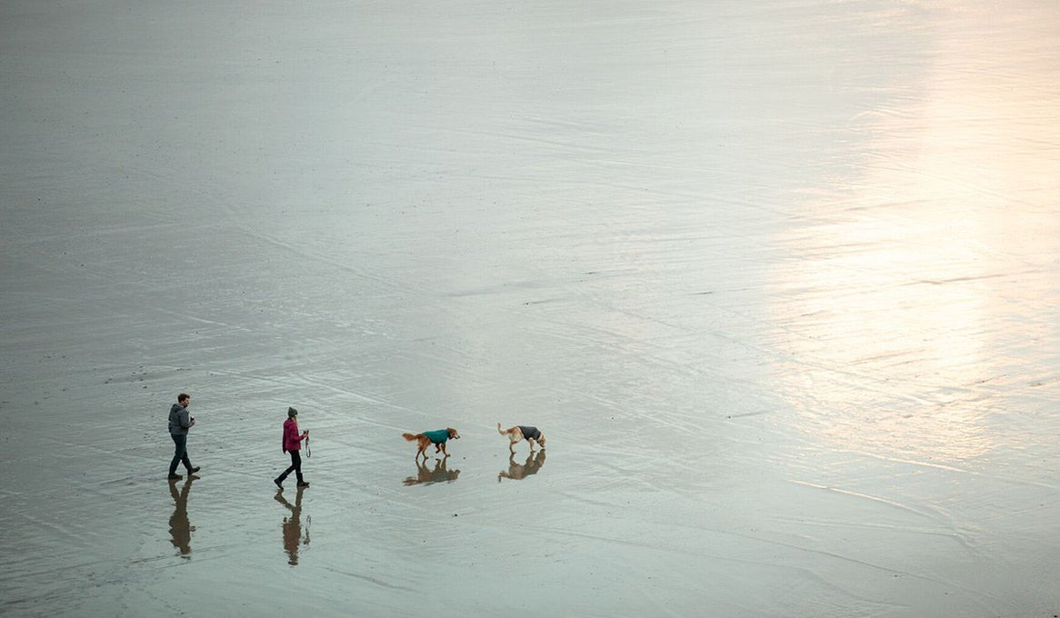 Dani and Nate Wyeth walk with dogs Ranger and Tanner on the beach.