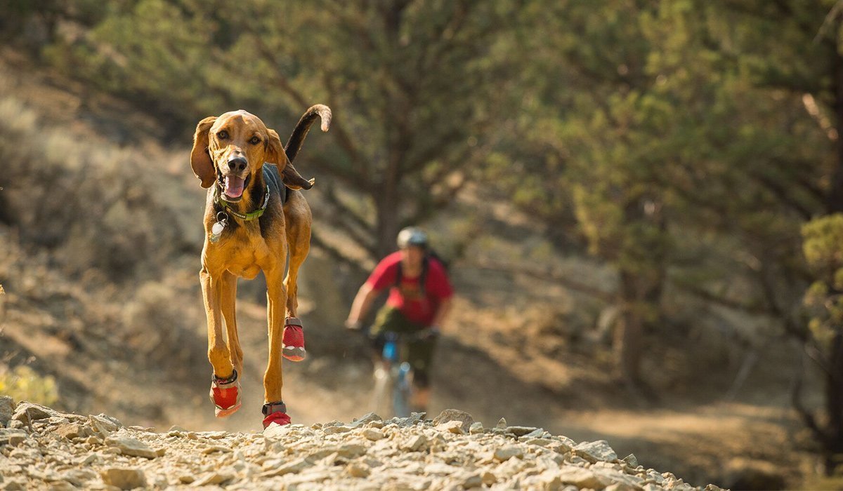 Stories Ruffwear