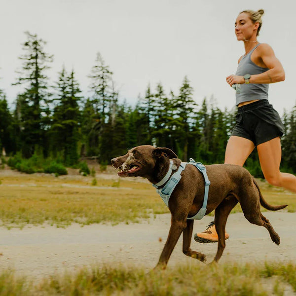 A woman runs with her dog