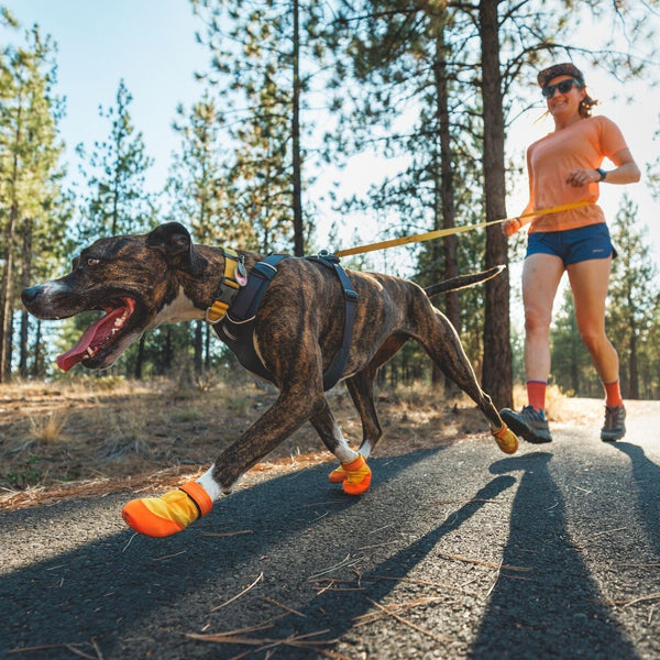 A woman runs with her dog in the rain