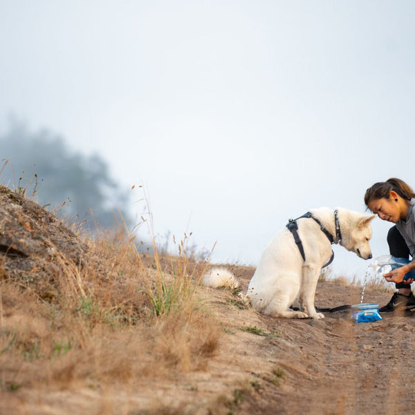 A woman pets her dog in the mountains