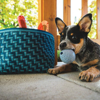 A dog plays with a toy by a basket.