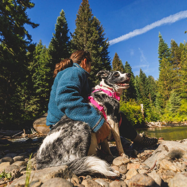 A human and dog sit together by a river.
