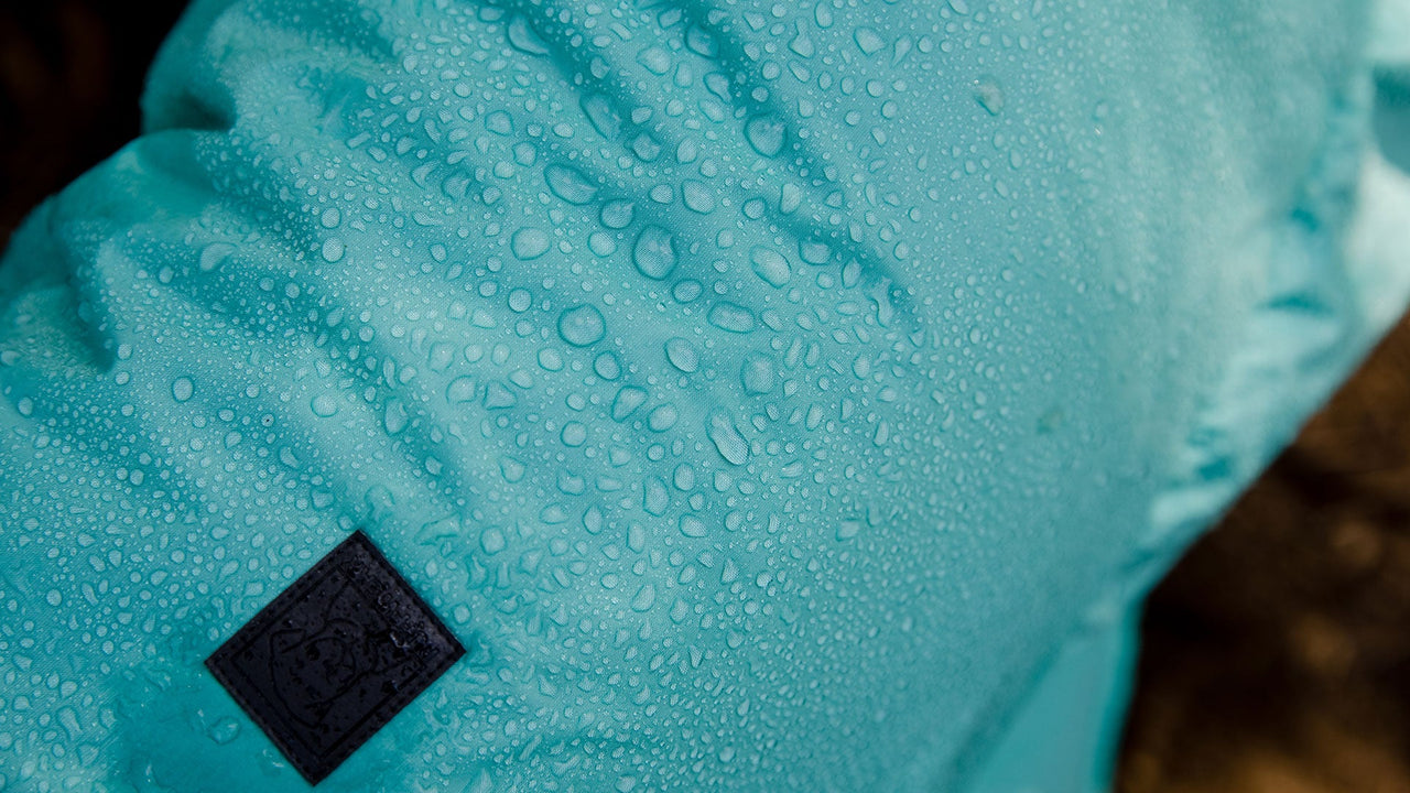 CANTONNEMENT DU DÉSORDRE