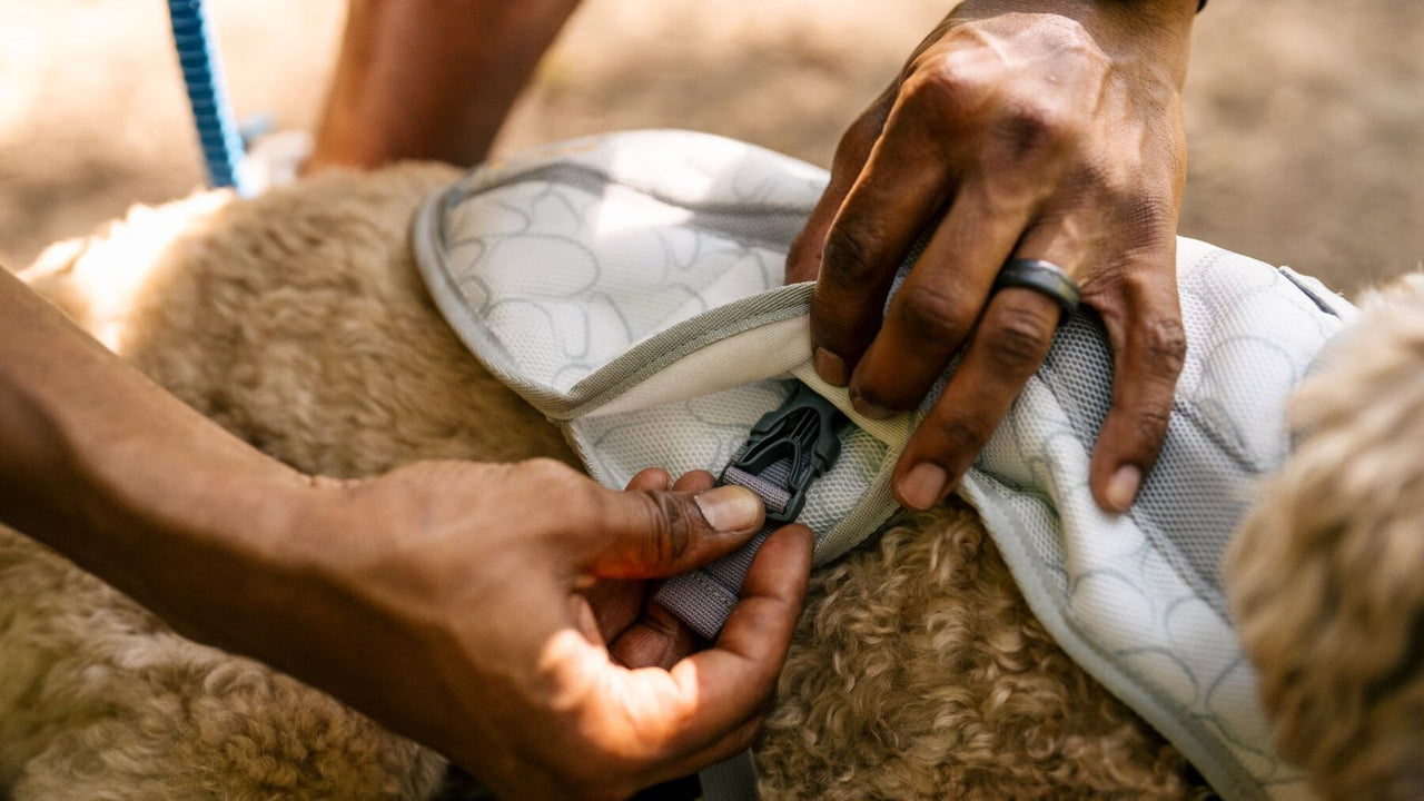 SWAMP COOLER™ TECHNOLOGIE
