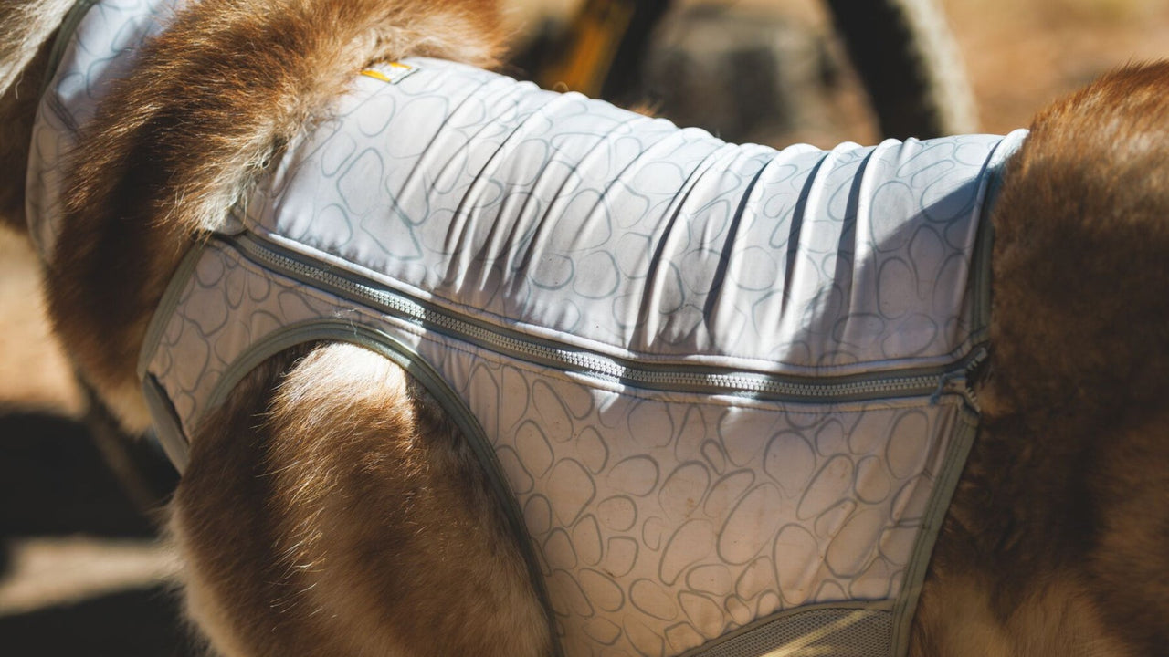 FORM FITTING WITH ZIPPERED CLOSURE