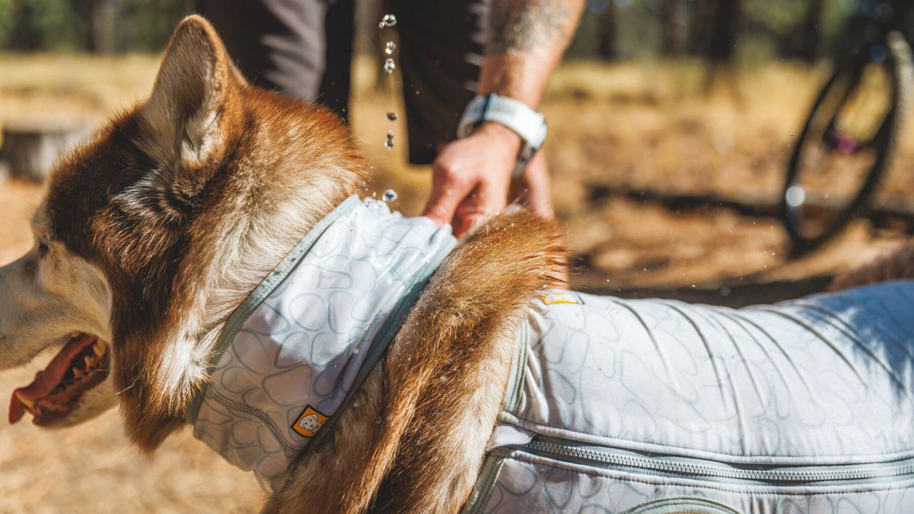 SWAMP COOLER™-TECHNOLOGIE