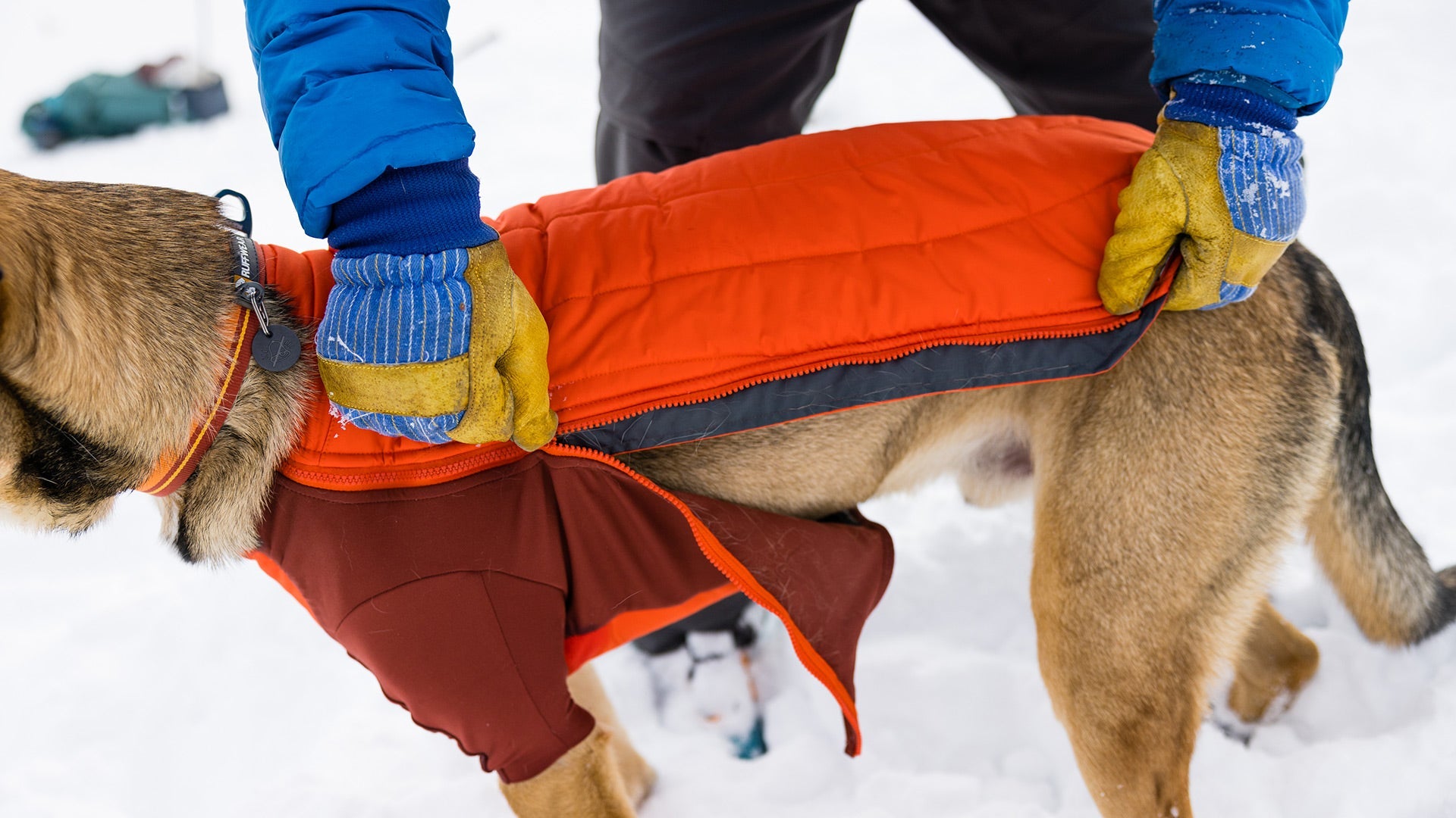 Powder Hound Dog Jacket Ruffwear