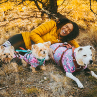Alexis lays with her three dogs in Ruffwear gear laughing on the ground.