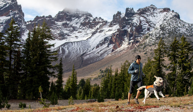 Dog in climate changer fleece pullover runs along trail in front of human in front of broken top mountain.