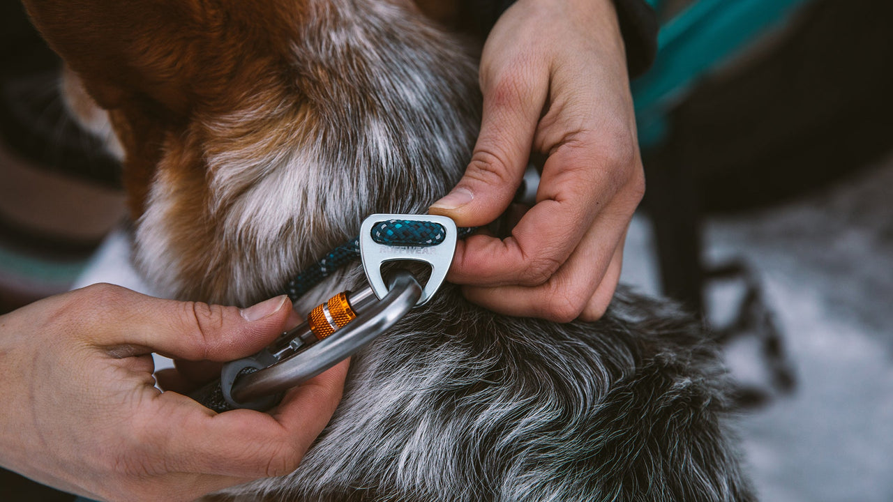 UNE CONNEXION FIABLE