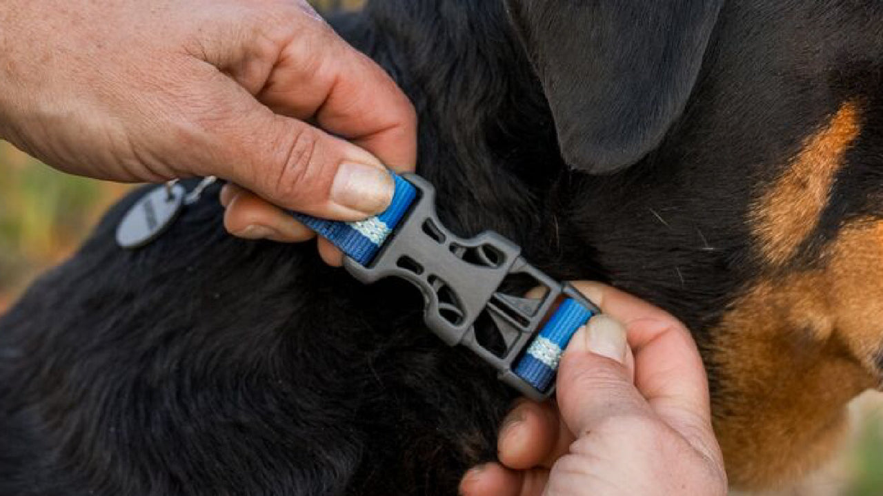 FACILE À METTRE ET À ENLEVER