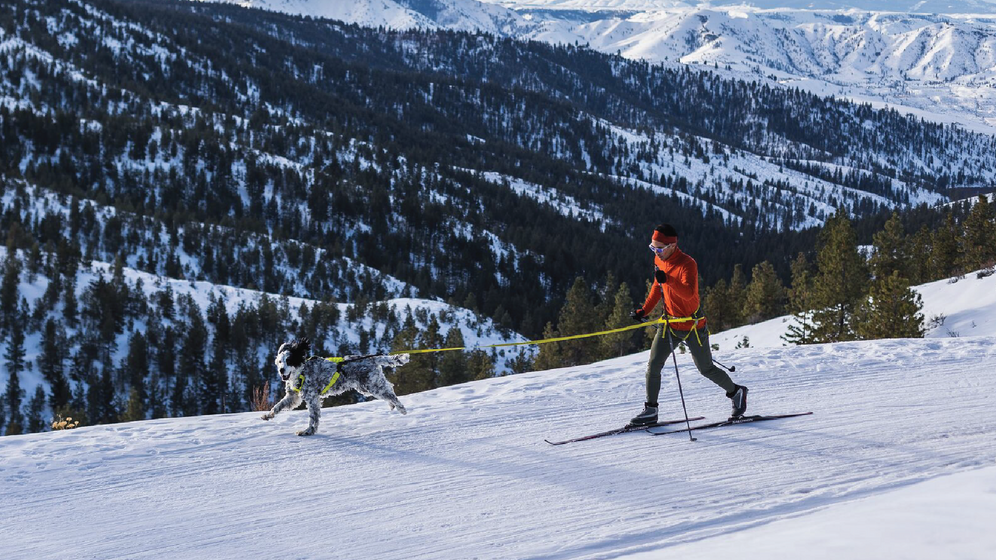 Über: Omnijore™ Jöringsystem Video Thumbnail