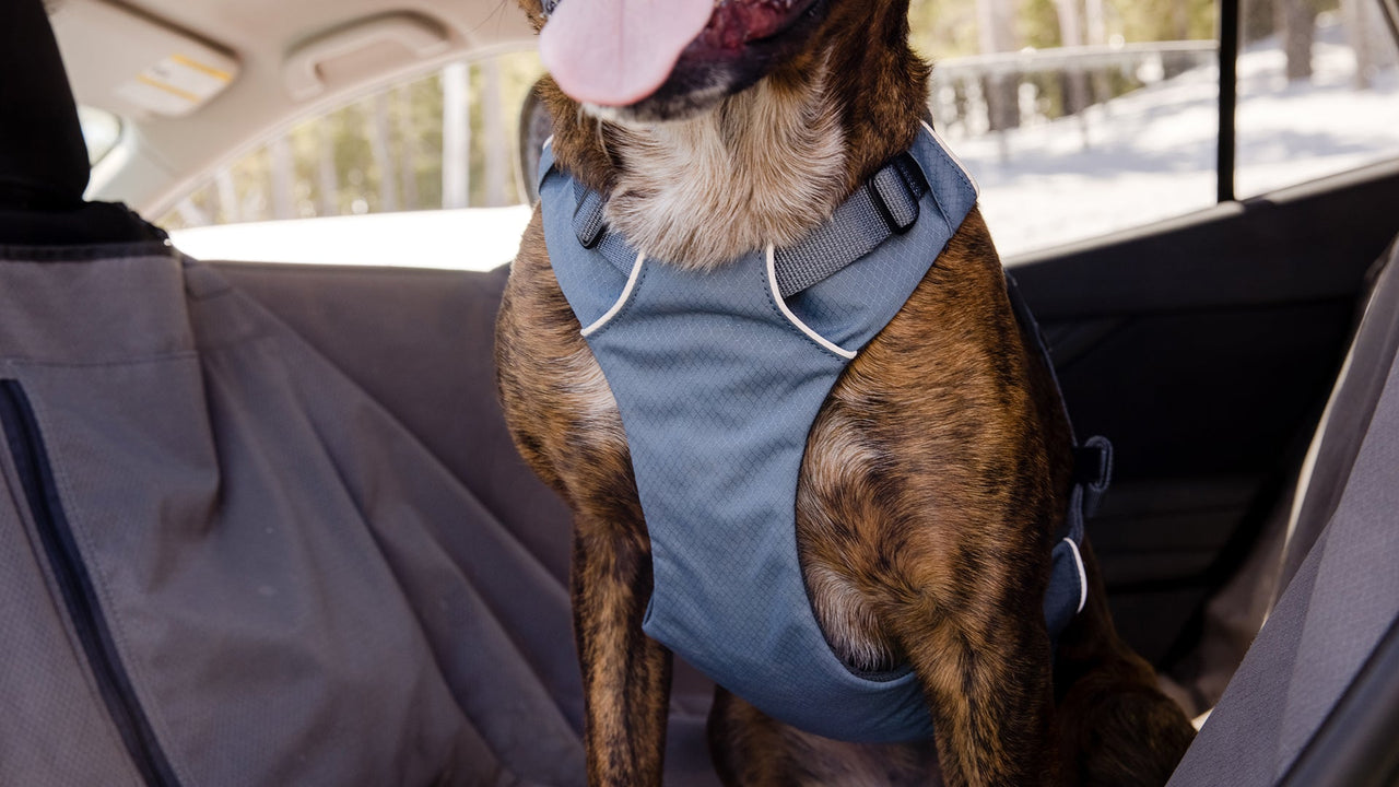 Harnais pour chien Harnais de voiture pour chien respirant en maille d'air  sans traction, harnais de poitrine souple réglable, harnais de sécurité  réfléchissant pour petits et grands chiens