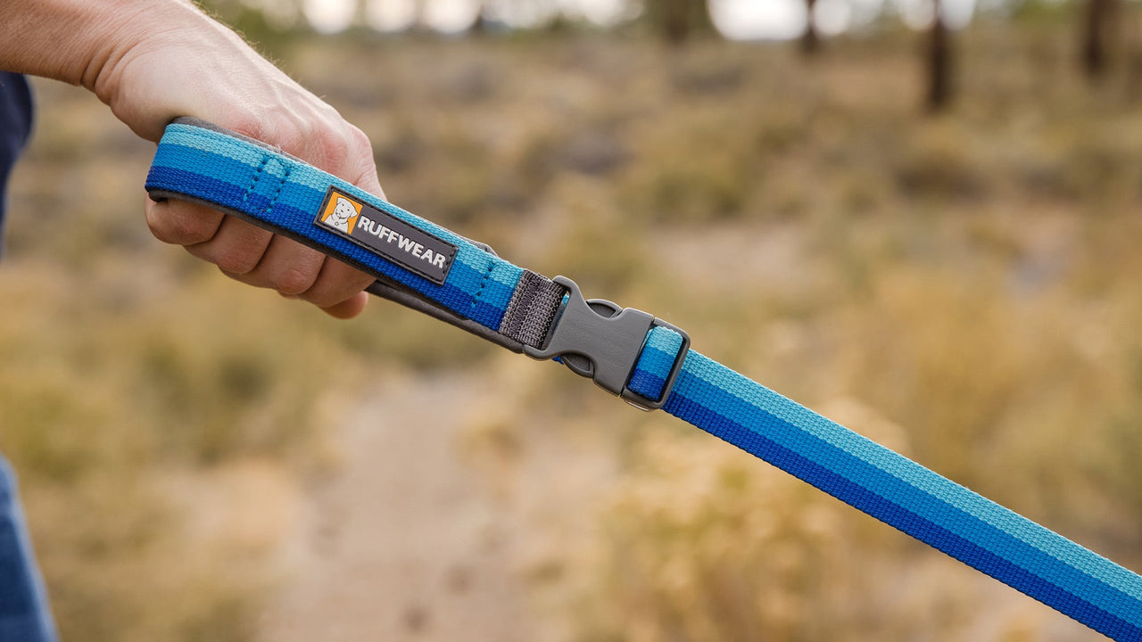 HAND-HELD OR HANDS-FREE