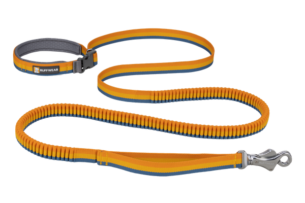 Roamer™ Bungee Dog Lead