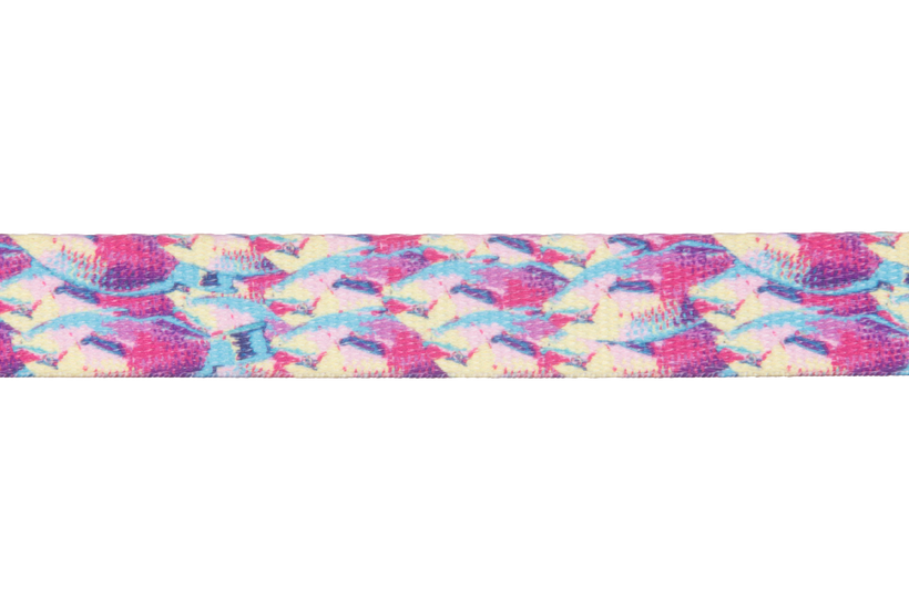 Reef Fish