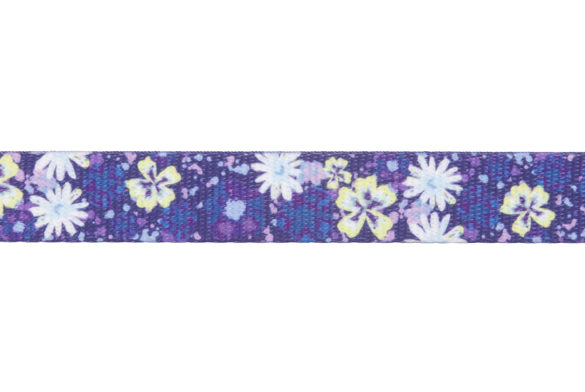 Wildflower