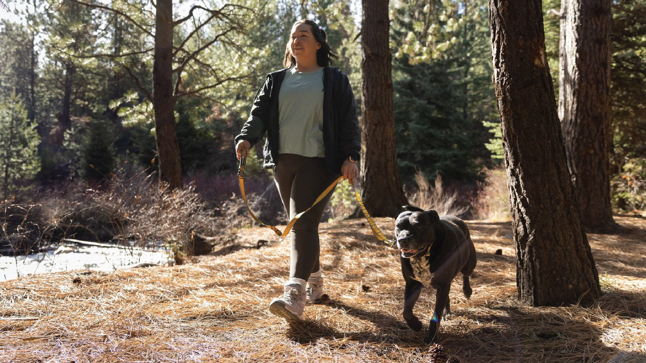 TENUE À LA MAIN OU MAINS LIBRES